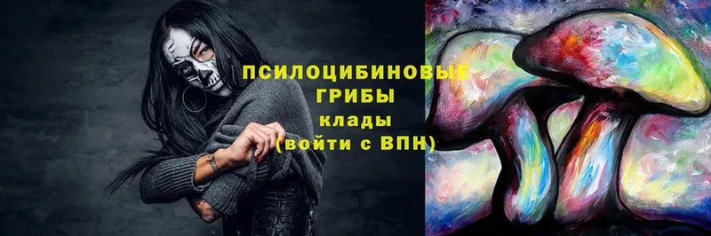 Псилоцибиновые грибы мухоморы  где найти   Голицыно 